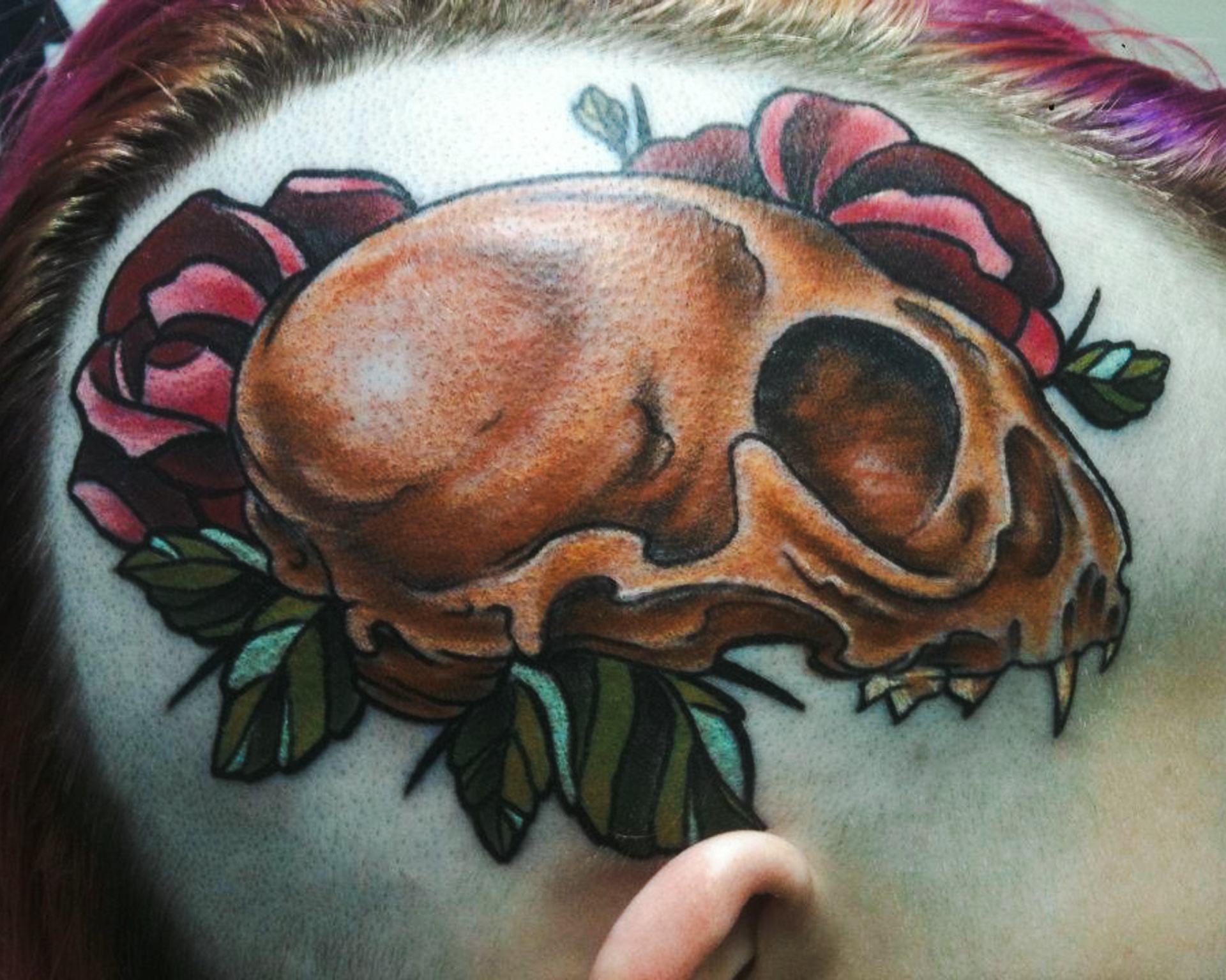 Skull & roses