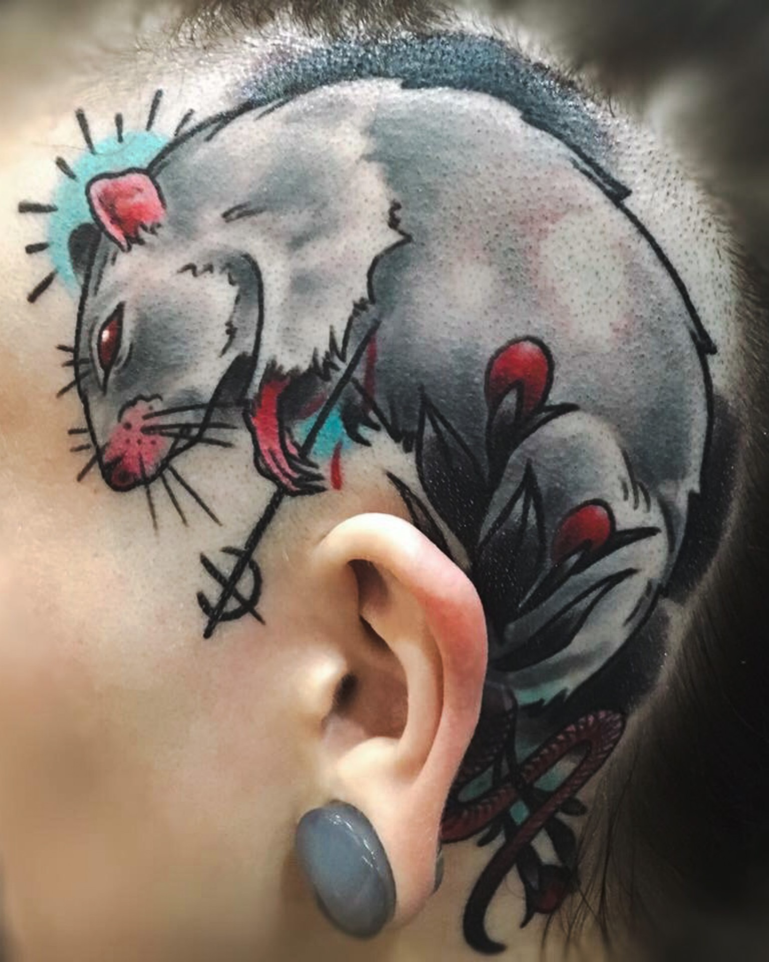 Rat study