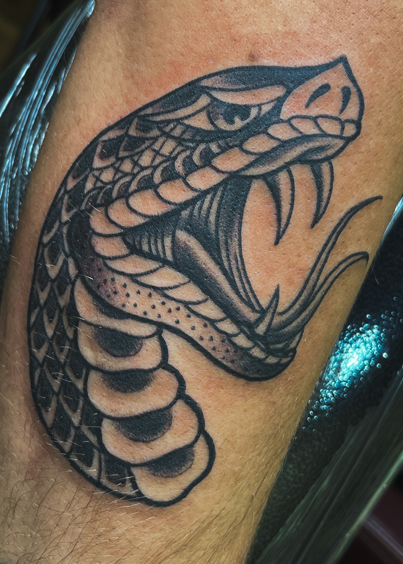 Snake head
