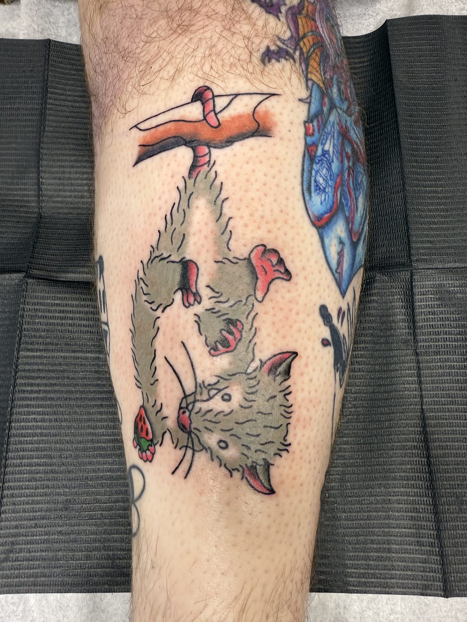Opossum & dagger