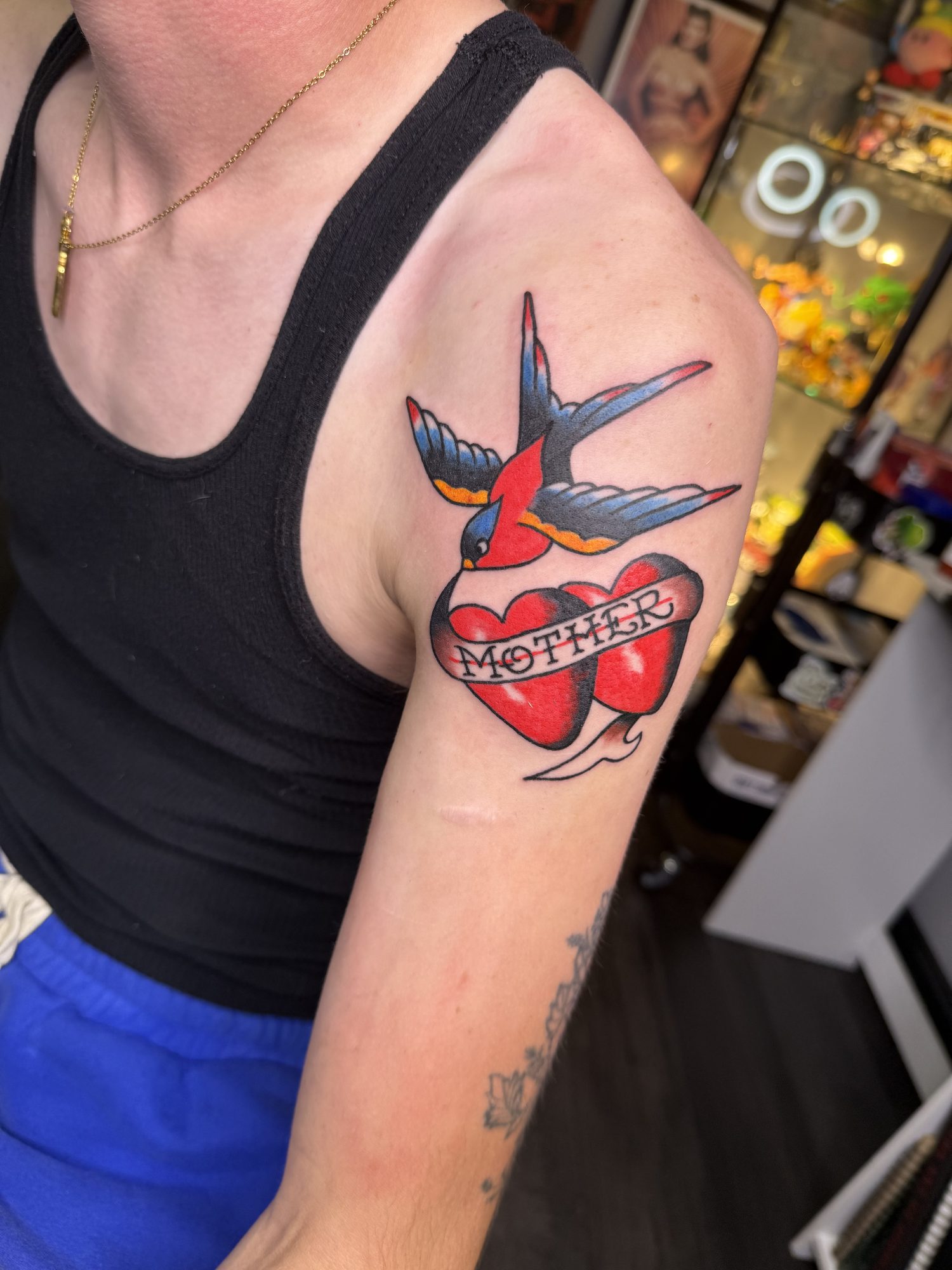 Swallow & heart