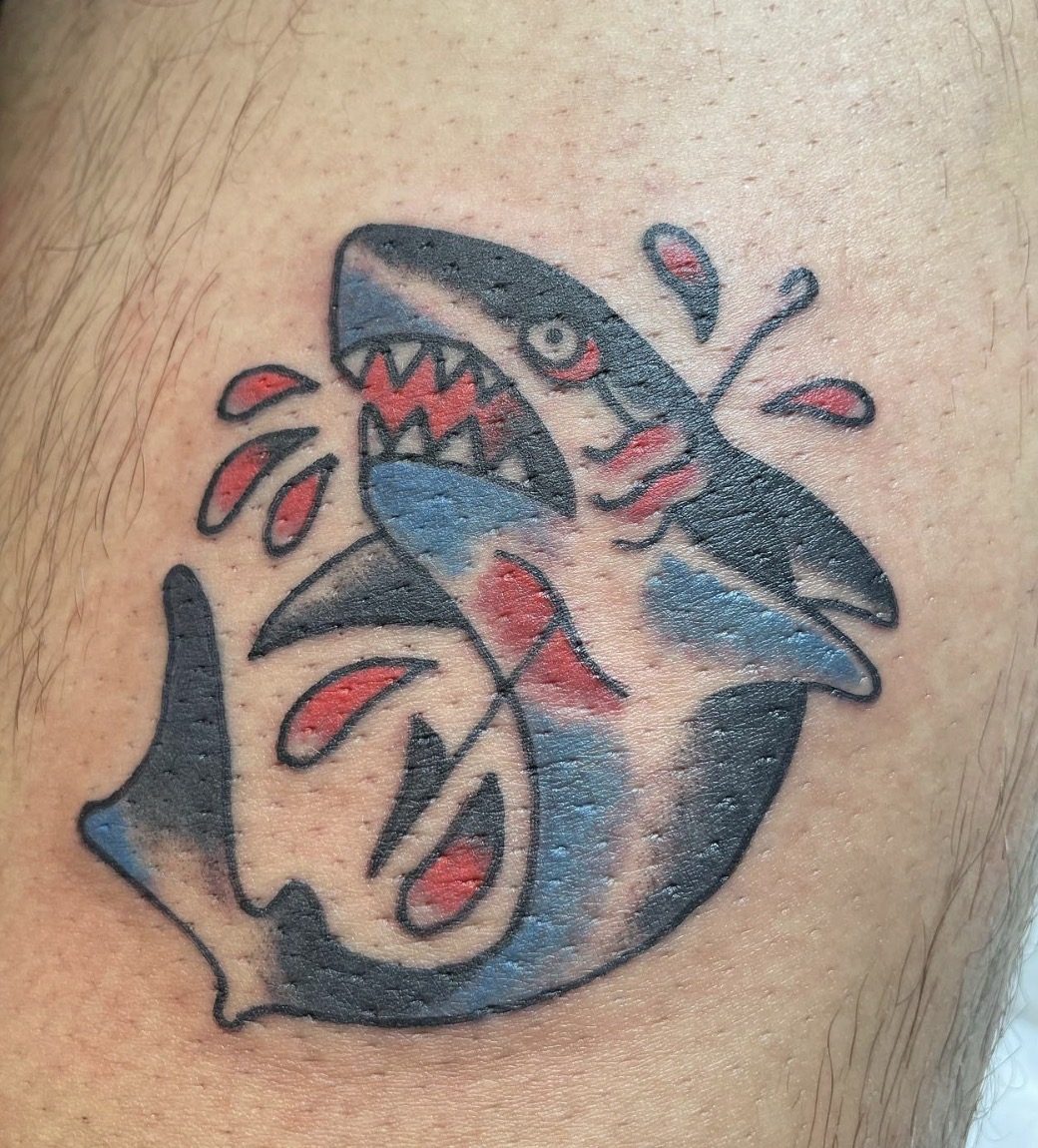 Traditional shark