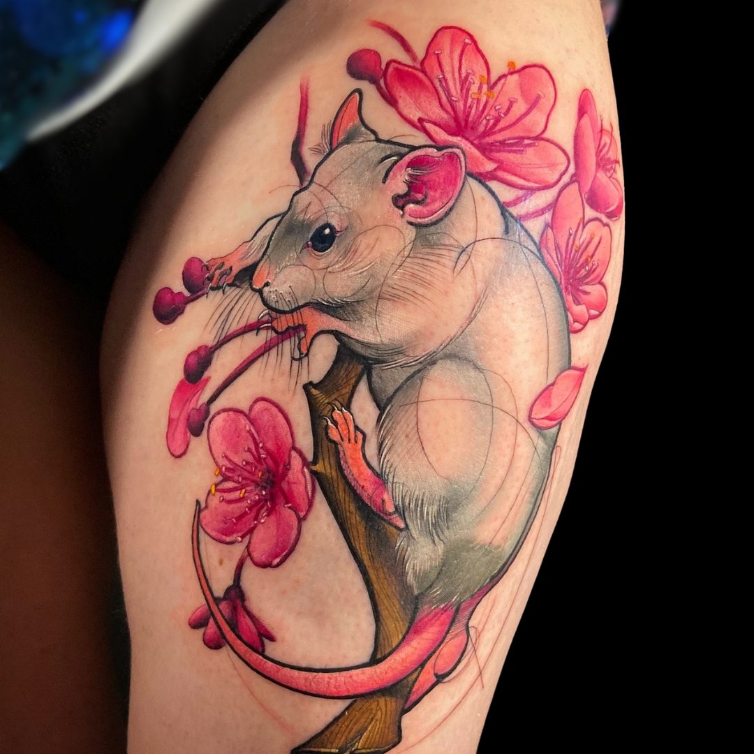 White rat